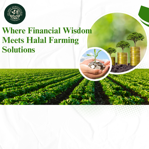 Impact of Islamic Financial Literacy on Farmers’ Earnings and Development of Value Added Short-term Islamic Agricultural Financing Product